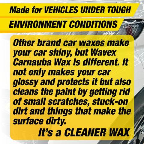 CARNAUBA WAX