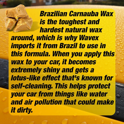 CARNAUBA WAX
