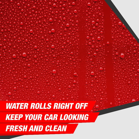 PAINT SEALANT